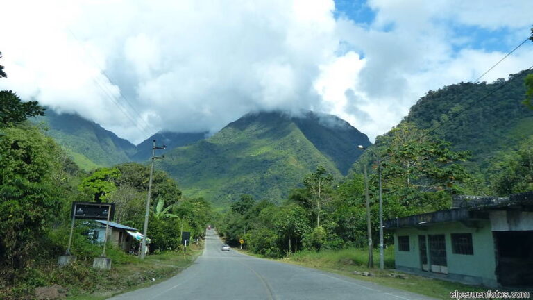 tingo maria 005